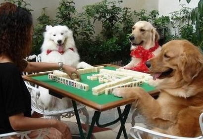 什么？代理友情漆就可做百萬(wàn)富翁